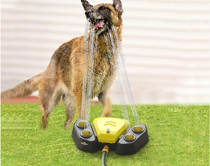 Hi Buddie FUN Multifunctional Dog Automatic Drinking Fountain