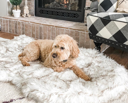 Hi Buddie super plush dog rug.