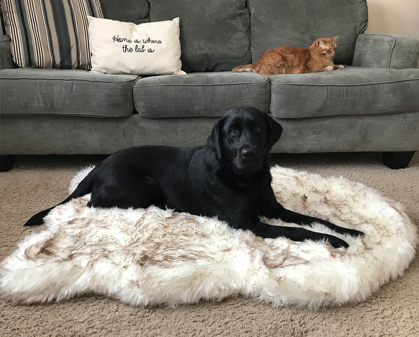 Hi Buddie super plush dog rug.